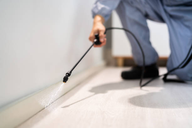 Licensed Termite Control service in Plano, TX - Nex Pest Control