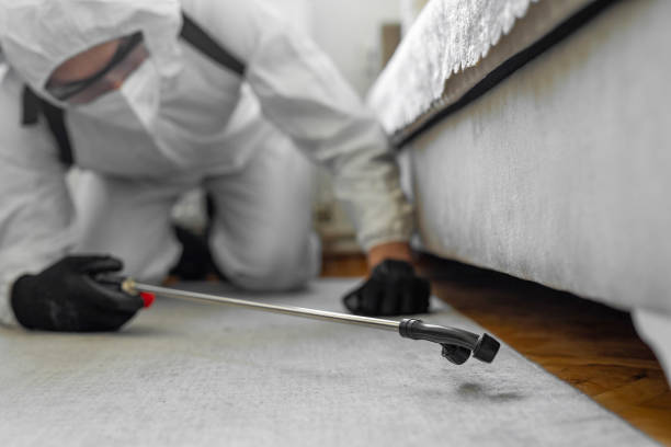 Professional Termite Control technician working in Plano, TX