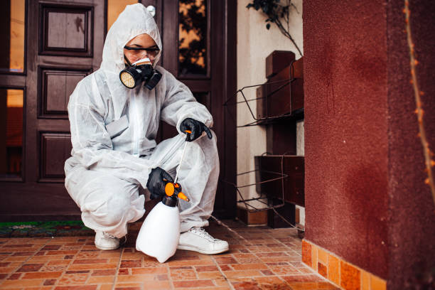 Reliable Termite Control contractor in Plano, TX by Nex Pest Control
